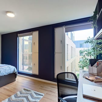 Luxury Plus Studio - Image 2