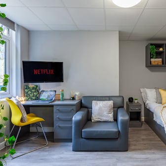 Luxury Studio - Image 1