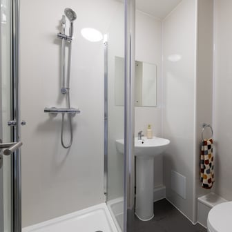Gold Ensuite - Image 4