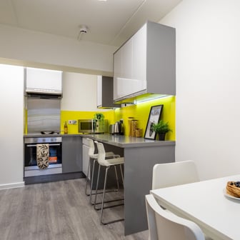Silver Plus Non Ensuite - Image 5