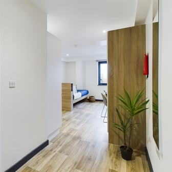 Gold Studio - Image 4