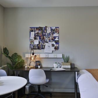 Gold Studio - Image 4