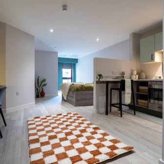 Superior Double Occupancy Studio - Image 2