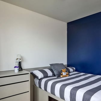 Premium - Image 5