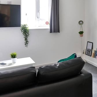 Premium Studio - Image 3