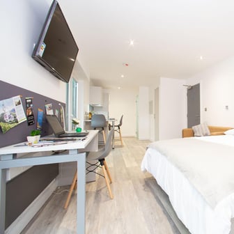Silver Plus Balcony Studio - Image 11