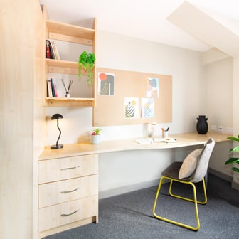 Premium Plus Studio - Image 2