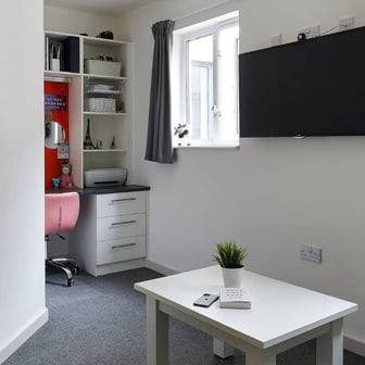 Deluxe Studio - Image 4