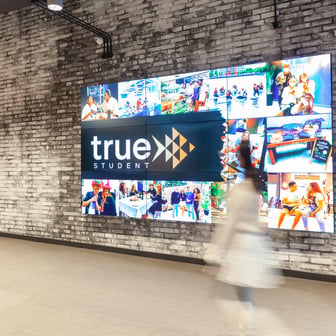 true Sky Studio - Image 7