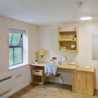 Gold Studio - Image 2