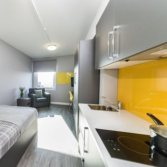 Gold Studio - Image 3