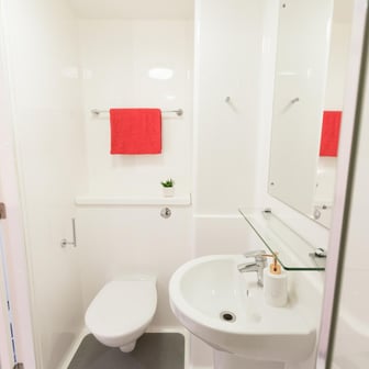 Bronze Ensuite - Image 4