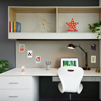 Study Area