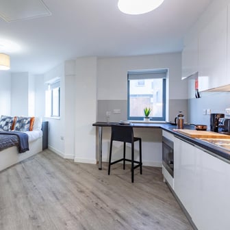Deluxe Plus Studio - Accessible - Image 3