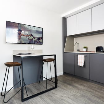 Platinum Accessible Studio - Image 4