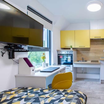Deluxe Accessible Studio