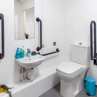 Deluxe Accessible Studio bathroom