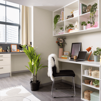 Premium Plus Studio - Image 3