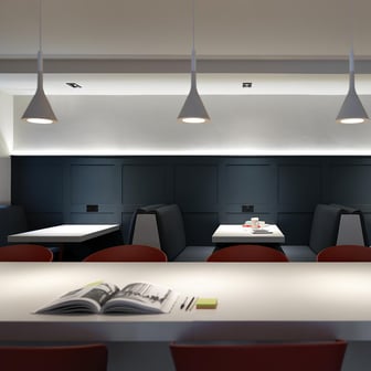 Study Area