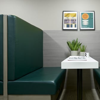 Study Area
