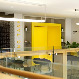 Study Area