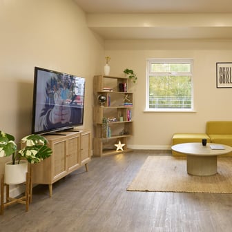 TV Area