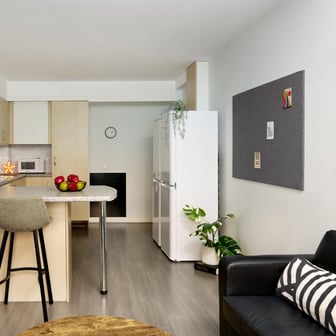 Shared Living Area
