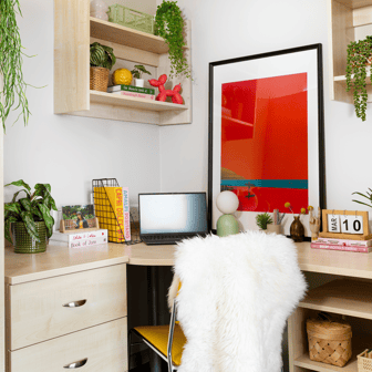 Premium Studio - Image 2