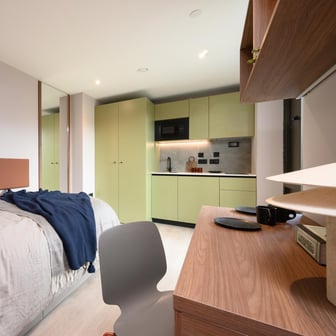 Premium Plus Studio Castle View - Image 1