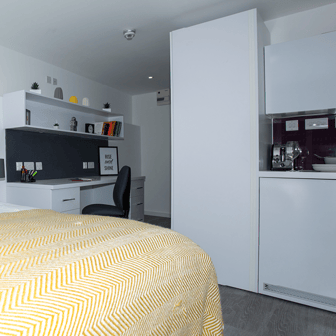 Premium Studio Plus - Image 3