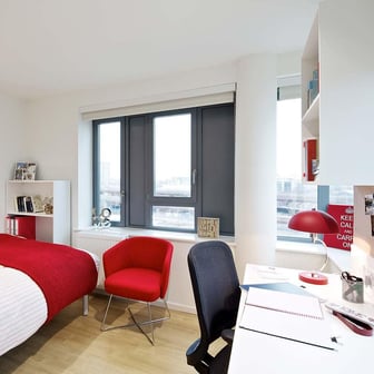 Premium Studio - Lower Floors - Image 3