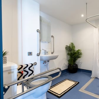 Platinum Suite - Accessible - Image 4