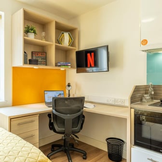 Classic Studio - Limited View - Image 9