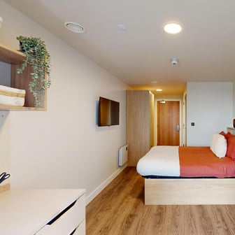 Premium Plus Studio - Image 6