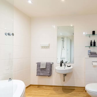 Studio with a Bath - Limited View - Image 4