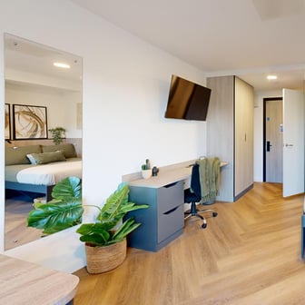 Premium Studio Ground - Image 4