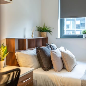 Standard Plus Ensuite - Image 2