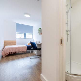 Gold Ensuite - Image 3