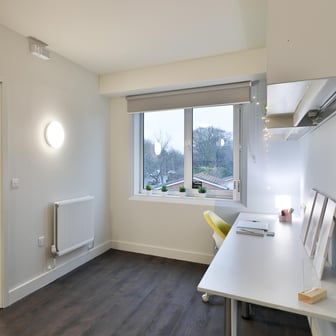 Entire apartment