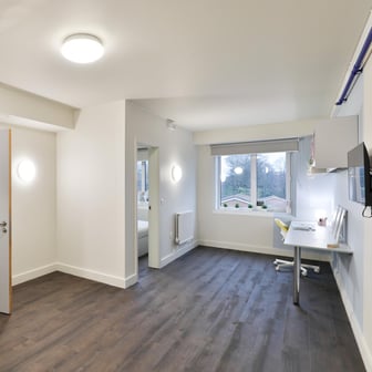 Entire apartment