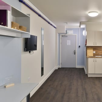Entire apartment