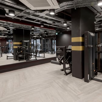 True Studio - Image 18