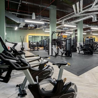 true Accessible Studio - Image 19