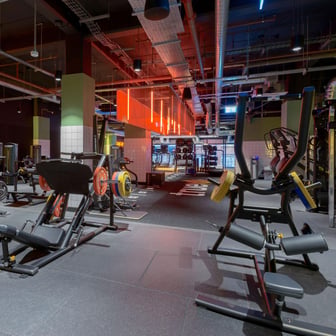 True Studio Plus - Image 34