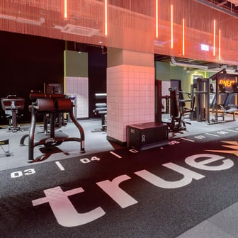 True Studio Plus - Image 38