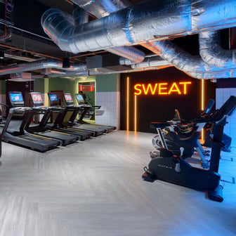 True Studio Plus - Image 39