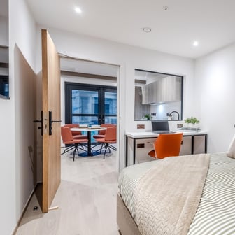 Large 2 Bedroom - Image 4