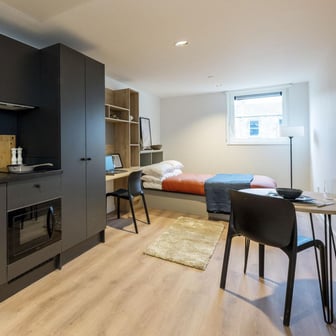 Large Premium Studio - Image 1