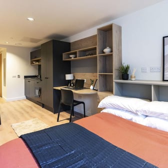 Large Premium Studio - Image 3