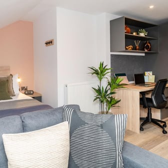 Skylight Plus Studio - Image 3